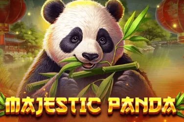 Người dùng Việt Nam đặt cược thể thao trên điện thoại di động tại nk888